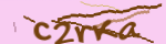 Enter the string shown in the image or use the following audio alternative