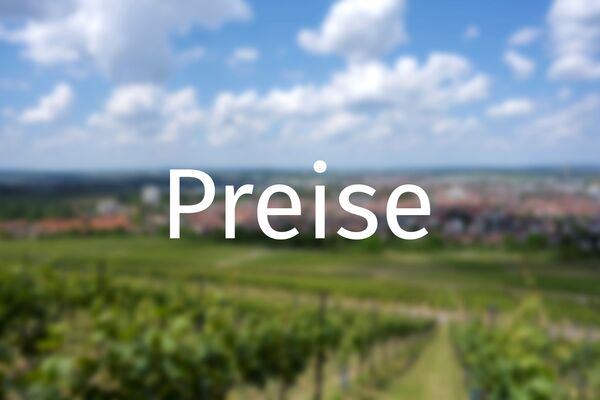 Schriftzug Preise