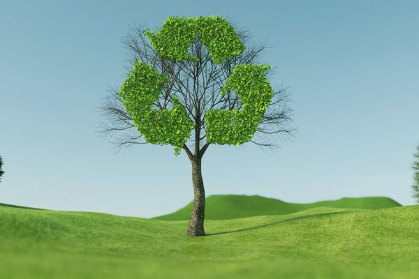 Ein Baum steht auf einer grünen Wiese. Die Blätter bilden das Zeichen für Recycling.