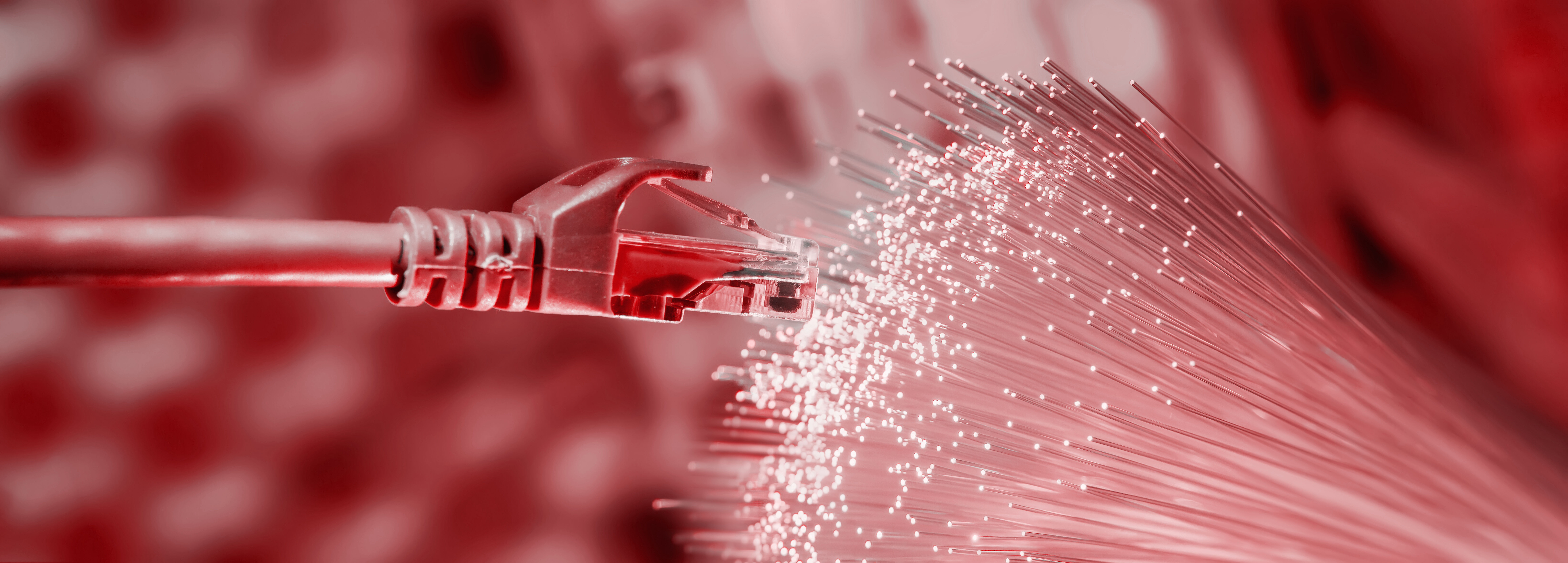 Rotes LAN-Kabel trifft auf rotes Glasfaserkabel.