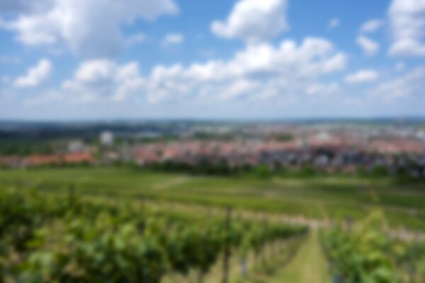 Verschwommener Blick auf Fellbach von den Weinbergen aus.