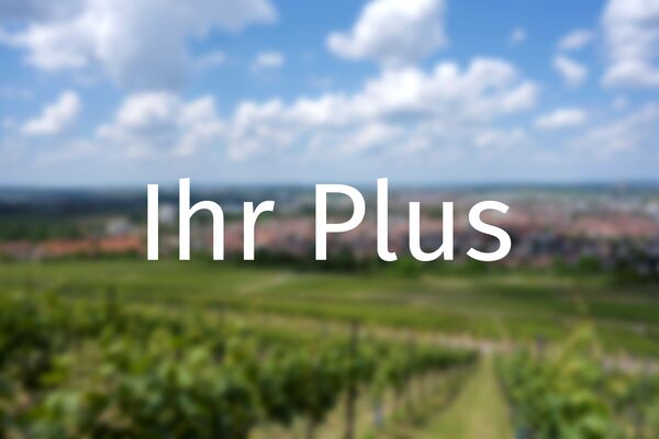 Schriftzug Ihr Plus