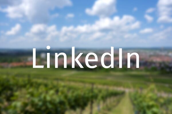 Schriftzug LinkedIn