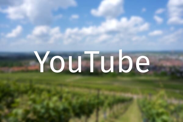 Schriftzug YouTube