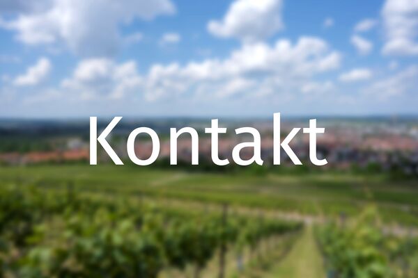 Schriftzug Kontakt